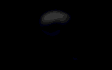 ani_skull.gif (15858 bytes)