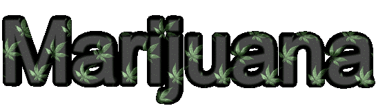 marijuanaX.gif (294668 bytes)