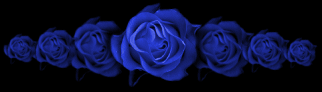 rosebar2.gif (12431 bytes)